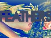 Feathers: Land Innocent Dream Song (Maya Postepski...