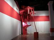 Monochromatic Installations Marc Anthony Polizzi