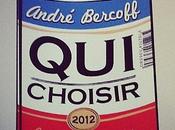 choisir Comment bien acheter votre prochain président