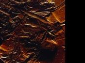 MEN: Next groupe revient (parfois appelé désormais...