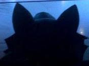 bruleurs loup epinal photos