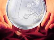 Quel avenir pour l’Euro