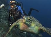 PROTECTION OCEANS programme PRISTINE SEAS NATIONAL GEOGRAPHIC