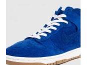 Nike Dunk Premium Deconstruct Pack