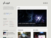 TransBlogExpress blogging, médias sociaux, Twitter, Pinterest Pluggd