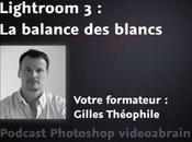 Régler balance blancs dans Lightroom