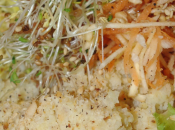 Assiette végé complète tofu mariné épices, millet amandes &amp; carotte-panais