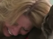 Sammi guérison d'un épagneul paralysé