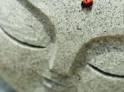 Exposition photographies pour Japon