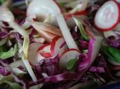 Salade craquante chou rouge