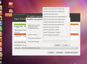 Quel type Filesystems pour Ubuntu 12.04?