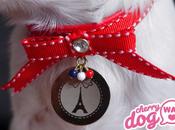 médailles pour chiens Cherry Paris