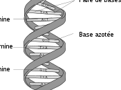 prélèvements #adn bonne nouvelle pour démocratie Xavier Renou)