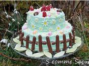 Gâteau printemps framboises chocolat blanc