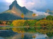 Qu'est-ce qu'une robinsonnade?