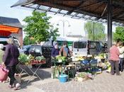 Ambiance marché Bernay...