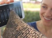 Galaxy Note écran plus grand, c’est pour qu’un éléphant puisse jouer avec (Vidéo)