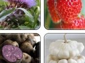 Quiz "Les légumes oubliés", mars 2012