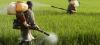 Pesticides : " La mort est dans le pré "