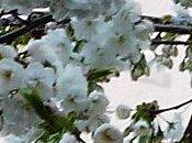 Démarche réussie annulation taxe foncière après intervention Conciliateur fiscal