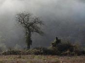 lauréats résidence pour photographie Fondations Treilles