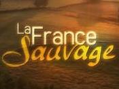 France Sauvage" Arte