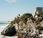 Tulum: ruines Mayas plage Caraïbes