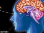 HORLOGE BIOLOGIQUE: paire gènes élimine graisses Genes Development