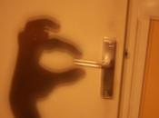 notion d’échelle humaine chez Kirkpatrick Sale