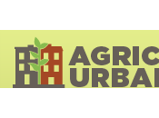 vitrine interactive pour toutes ressources agriculture urbaine Montréal