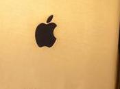 nouvel iPad carats mais sans diamants