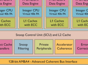 dévoile caractéristiques Cortex