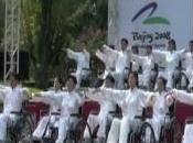 HANDICAP CHI: Estime meilleure santé même fauteuil roulant Technology Innovation- Proceedings National Academy Inventors®