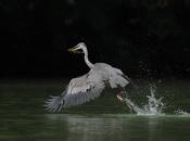 Web-pêche mensuelle