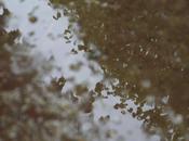 CIEL Projet Photo (semaine #18)