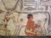 Salle vitrine peintures mastaba metchetchi vache, lait donna