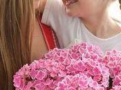 L'Hydrangéa Hortensia