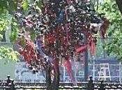 L'arbre cadenas kaluga