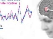 LECTURE mobilise l’interaction neurones longue distance Inserm Journal Neuroscience
