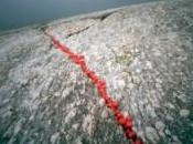 Offrandes Photographies Pascale Peyret Espace Rouge Montpellier