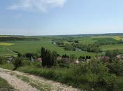 Ailly-sur-Meuse flore faune