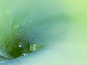 Sélection Darqroom Pixfan