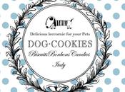 Cookies gourmandises gourmandes pour chiens