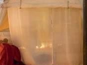 nuxe hauteur reputation