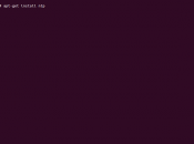 Synchroniser serveur avec publique sous Ubuntu