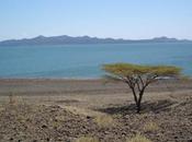 Kenya plus grand parc éolien d’Afrique sortir terre