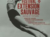Festival Extension Sauvage