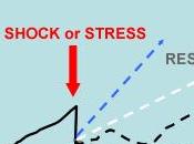 résilience concept-clé initiatives transition