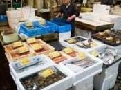 poisson globe fugu, plaisir mortel pour gourmets japonais
