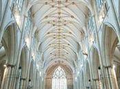 cathédrale York Minster recouverte pelouse